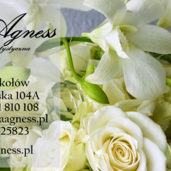 Laagness Pracownia Artystyczna (Mikołów )