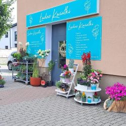 Ładne Kwiatki (Mrozy )