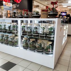 Lasy W Szkle - Green Moss Design (Siemianowice Śląskie )