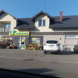 Lewiatan (Gręboszów )
