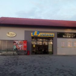 Lewiatan (Roczyny )