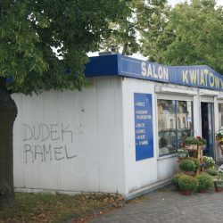 Lidia (Ozorków )