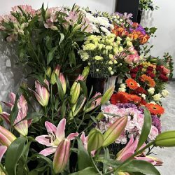 Lidia Flowers (Osiek nad Notecią en Merlo San Luis)