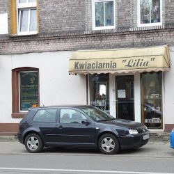 Lilia. Kwiaciarnia. Pawicka-rzepka B. (Chorzów )