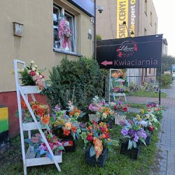 Liliowo.pl - Kwiaciarnia Katowice (Katowice )