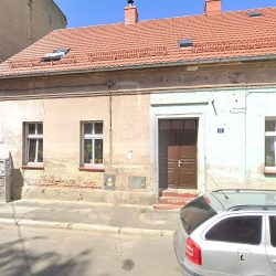 Lis Zbigniew. Kwiaty (Dzierżoniów )
