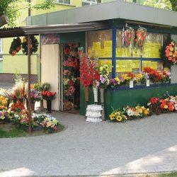 Lucyna Sidur Kwiaciarnia Kwiaty Wiązanki (Mielec )