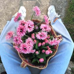 M.flowers Pracownia Florystyczna (Pawłów en Merlo San Luis)