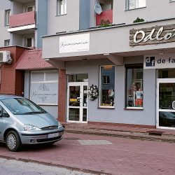 Maciorowska Jadwiga. Kwiaciarnia (Grajewo )