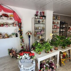 Magia Kwiatow (Rybnik )