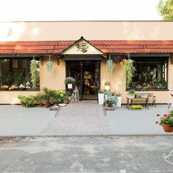 Magia Kwiatów Pracownia Florystyczna Bogumiły Stryj (Ruda Śląska )