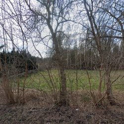 Magia Kwiatów. Pracownia Florystyczna. Dekoracje Sal Weselnych I Kościołów. (Kozerki )