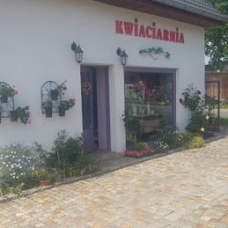 Magia Kwiatów Ziębice (Ziębice )