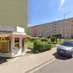Magnolia (Lwówek Śląski )