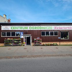 Magnolia Centrum Ogrodnicze Kwiaciarnia (Sępopol )