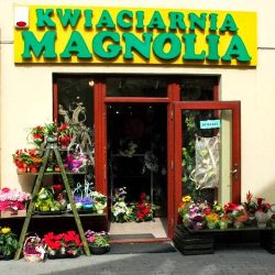Magnolia Gift&flowers (Wieliczka )