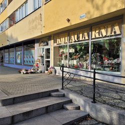 Magnolia. Kwiaciarnia (Legnica )