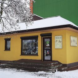 Magnolia. Kwiaciarnia. Koprowska K. (Poddębice )