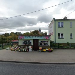 Magnolia. Kwiaciarnia. Matczyńska-lech E. (- )