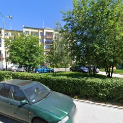 Magnolia S.c. (Legnica )
