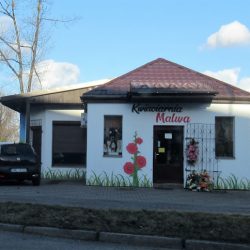 Malwa. Kwiaciarnia (Wodzisław Śląski )