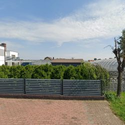 Manikowska Maria. Kwiaciarnia (Strzałkowo en Merlo San Luis)