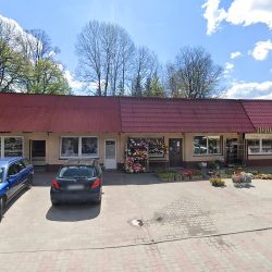 Maranta. Kwiaciarnia. Szarlej R. (Zawoja )
