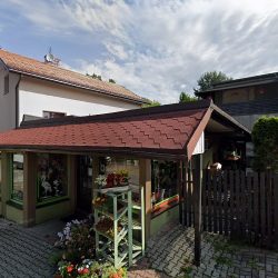 Margaretka. Kwiaciarnia. Bartes (Rydułtowy )