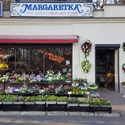 Margaretka. Kwiaciarnia. Kubala M. (Zielona Góra )
