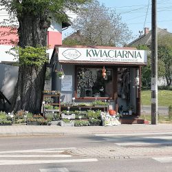 Margo Kwiaty Upominki Dekoracje (Polanka Wielka )