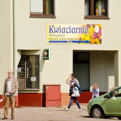 Matysko Kwiaciarnia (Piła en Merlo San Luis)
