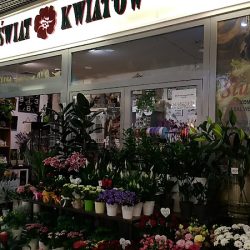 Maxi Flowers. Kwiaciarnia (Poznań )