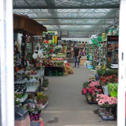 Mera Flor. Centrum Ogrodnicze I Sklep Ogrodniczy (Bartoszyce )