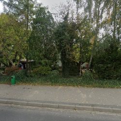 Mielcarek Tadeusz. Ogrodnictwo, Kwiaciarnia (Czempiń en Merlo San Luis)