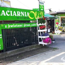 Mielczarek. Kwiaciarnia Ola (Częstochowa )