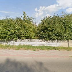 Mielczarek Olga. Ogrodnictwo (Częstochowa )
