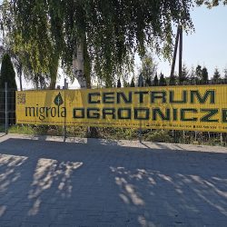 Migrola (Motycz en Merlo San Luis)