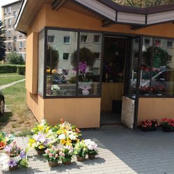 Milewski A. Kiosk Z Kwiatami (Olkusz )