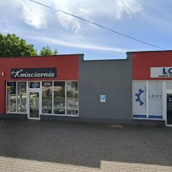 Mk Art Flowers (Jarocin en Merlo San Luis)