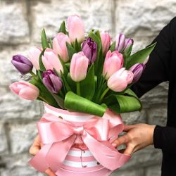 Mm Florist Kwiaciarnia Ganiek (Czerwionka-Leszczyny )