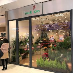 Multiflora (Kraków )