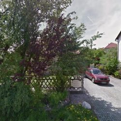Na Polnej. Pracownia Florystyczna. Sarna L. (Złotoryja )