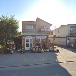 Nadolna Jadwiga Sklep Z Kwiatami (Rokietnica en Merlo San Luis)