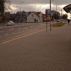 Neria Kwiaty (Radom )