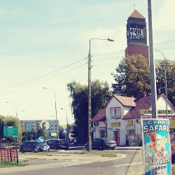 Nerina. Kwiaciarnia. Beata Swat (Radom )