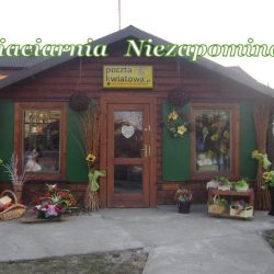 Niezapominajka. Fhu. Kwiaciarnia. Mroczek J. (Wieliczka )