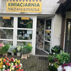 Niezapominajka. Kwiaciarnia (Tuchola )