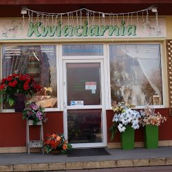 Niezapominajka. Kwiaciarnia. Nowak M. (Kraków )