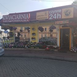 Niezapominajka. Kwiaciarnia (Jabłonna )