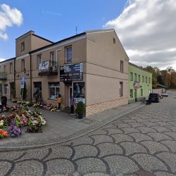 Niezapominajka. Plucińska A. (Poddębice )